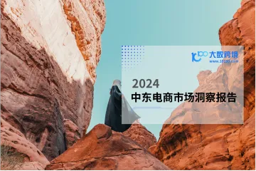 大数跨境：2024中东电商市场洞察报告