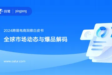 鸥鹭:2024跨境电商洞察白皮书-全球市场动态与爆品解码