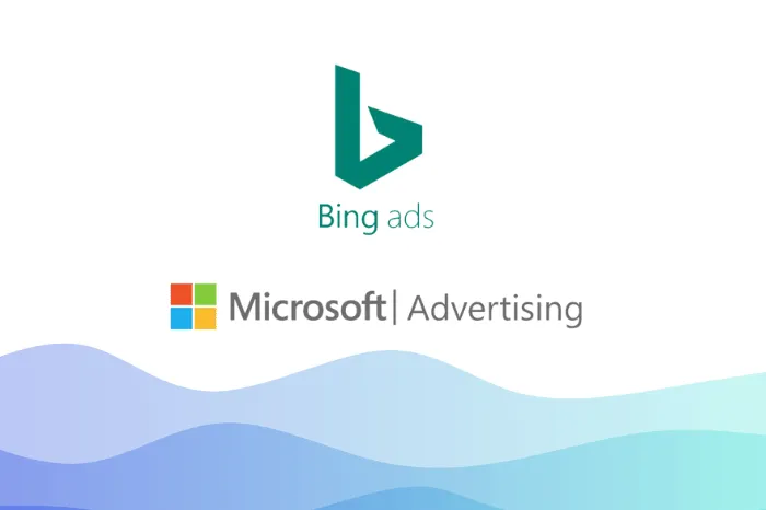 Bing广告主要数据指标解读