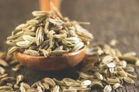 供应商必读：小茴香籽的核心健康价值与出口优势