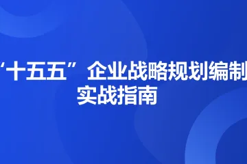 大型央国企：十五五企业战略规划编制实战指南7大工具案例破解企业战略迷局