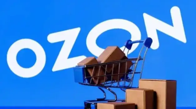 俄罗斯OZON跨境选品指南：这6个类目正在疯狂出单！