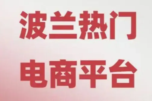Allegro运营实操指南——想在波兰大促爆单？这份 Allegro Days 全攻略请收好！