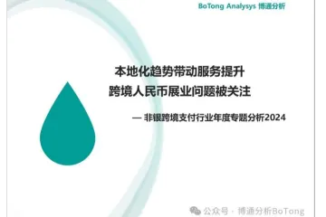 非银跨境支付行业年度专题分析2024