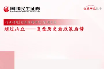 家用电器行业专题研究：越过山丘复盘历史看政策后势