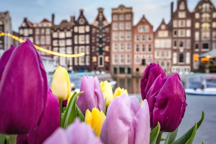 海外小课堂系列：2025年荷兰十项重要的人事雇佣变化