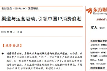 名创优品-公司研究报告渠道与运营驱动引领中国IP消费浪潮-25021827页