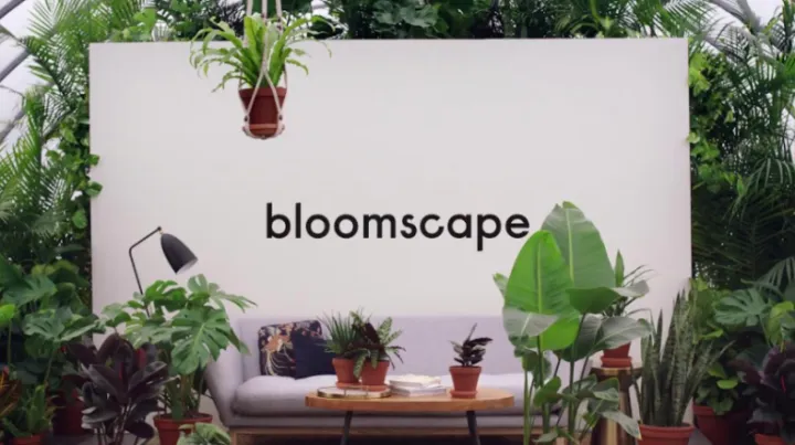 出海品牌暂时无法涉足的赛道，在美国卖线上绿植？