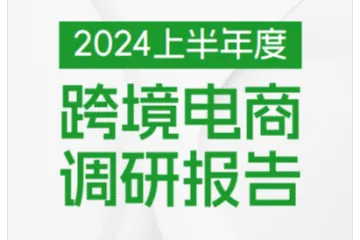 2024上半年度跨境电商调研报告