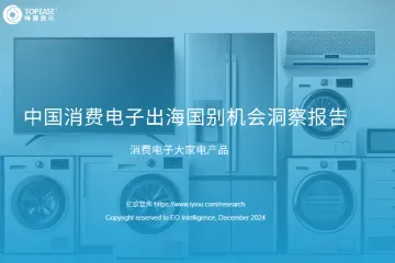 亿欧2024中国消费电子出海国别机会洞察报告-大家电产品38页