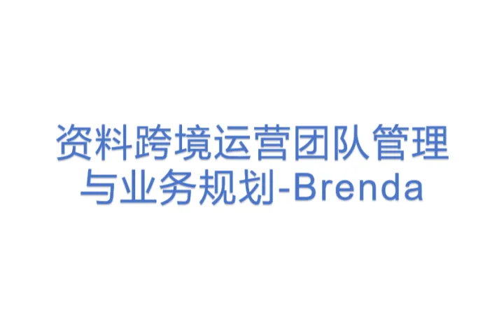资料跨境运营团队管理与业务规划-Brenda(更新版)