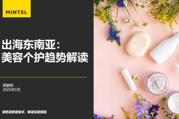 英敏特：2025出海东南亚：美容个护趋势解读报告（46页）
