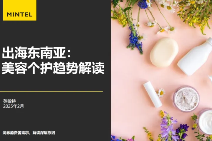 英敏特：2025出海东南亚：美容个护趋势解读报告（46页）