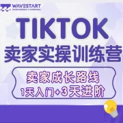 TikTok跨境电商实战训练营｜1天入门+3天进阶｜六大SOP流程+线下实操