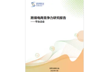 2024跨境电商竞争力研究报告-平台企业