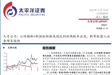 九号公司-公司研究报告以旧换新新强标助推高端化利好两轮车品类割草机器人业务增长强劲-24121850页