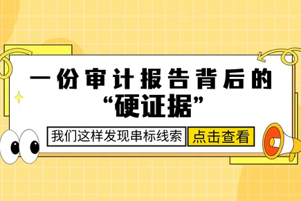 一份审计报告背后的“硬证据”：我们这样发现投标文件中的串标线索
