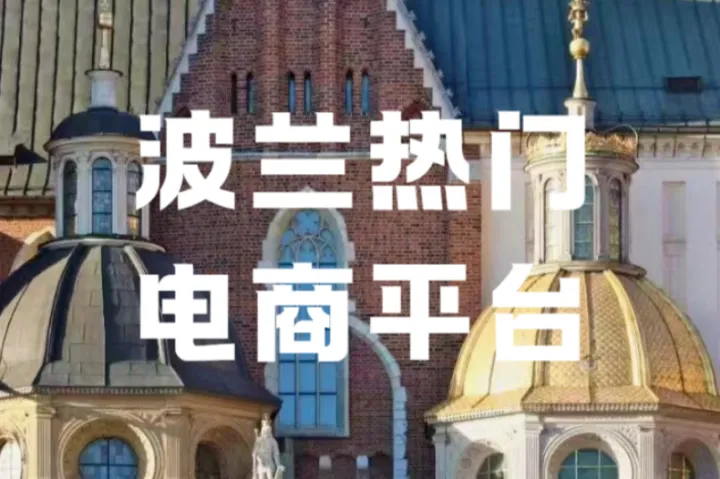 超80%波兰人都在买！中国跨境电商凭什么横扫中东欧？