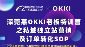 OKKI老板特训营之私域独立站营销及订单转化SOP