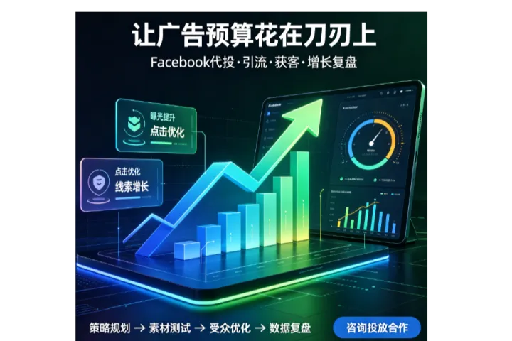 海外独立站推广引流，Facebook代理商开户代投代运营