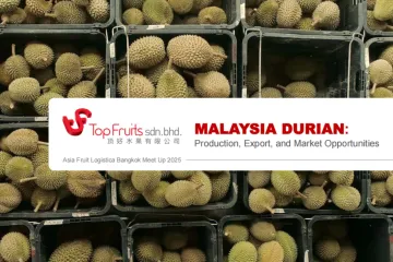 马来西亚榴莲生产出口和市场机会