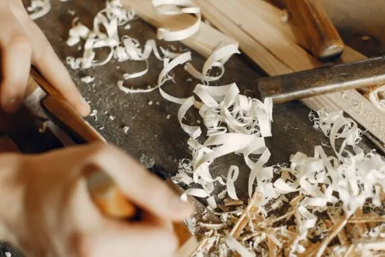 废弃锯末变身“城市海绵”：透水砖技术的全球专利竞赛