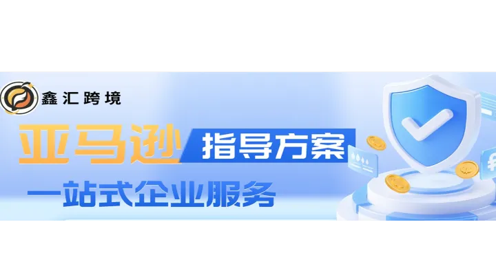 亚马逊专业运营指导方案 | 从选品到出单，手把手陪跑全流程