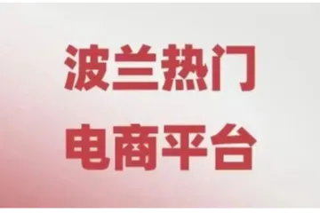 波兰Allegro开店：身份验证方法及详细操作指南！