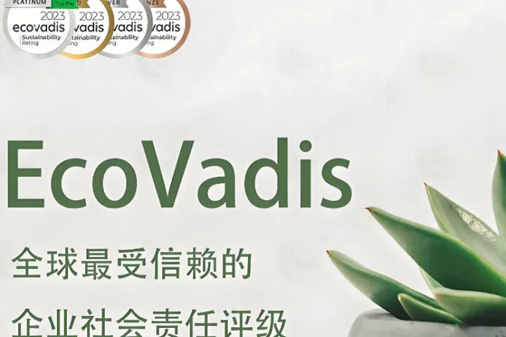 EcoVadis金/银/铜牌评估代办机构推荐：五大可靠的供应链可持续性咨询机构