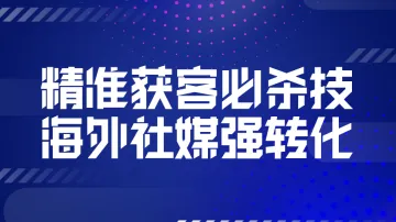 8.8 杭州 产业出海专场