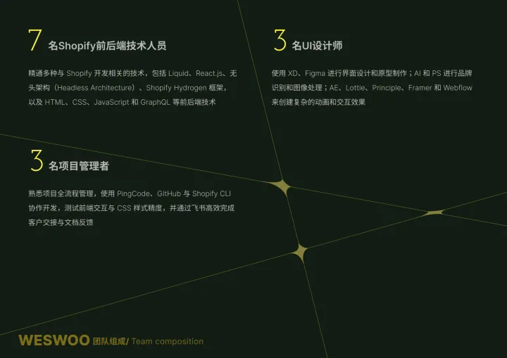 Shopify独立站设计开发|主题前端开发|UI设计|Shopify Plus B2B全栈扶持