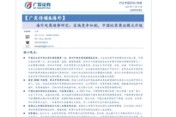 《海外电商竞争与模式升级》