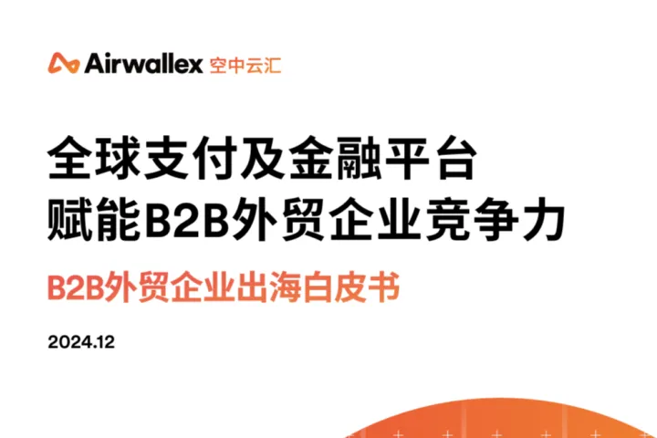 益普<em>索</em>空中云汇：2024年B2B外贸企业出海白皮书
