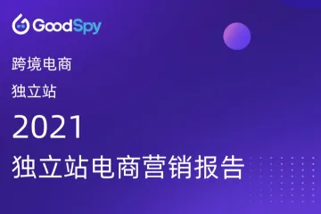 GoodSpy：2021年独立站电商营销报告