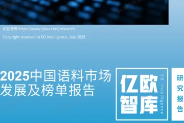 亿欧智库：2025中国语料市场发展及榜单报告