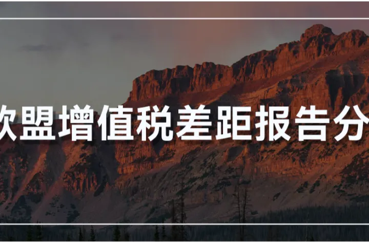 为何欧盟各成员国VAT政策日趋严格？这份欧盟报告分析，或许可以解答你的疑惑！ 
