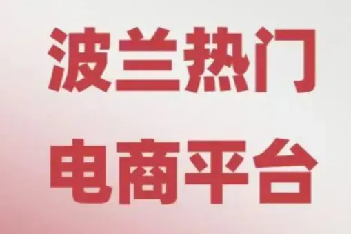 波兰跨境电商税务咋合规？关税、VAT问题看这篇就够了！