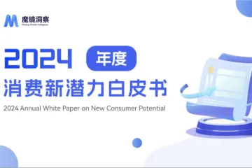 魔镜洞察2024年消费新潜力白皮书126页