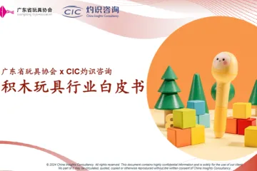 CIC灼识咨询2024积木玩具行业白皮书33页