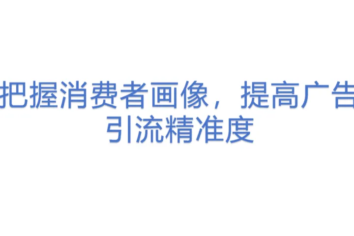 把握消费者画像，提高广告<em>引流</em>精准度