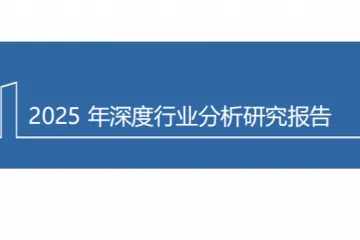 2025茶饮行业海外市场规模及龙头企业蜜雪冰城出海现状模式优势分析报告