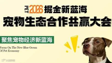 宠物流量大会