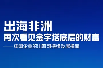MSC咨询：2025出海非洲再次看见金字塔底层的财富-中国企业的出海可持续发展指南
