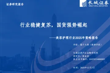 美容护理行业2025年策略报告行业稳健复苏国货强势崛起-24120233页