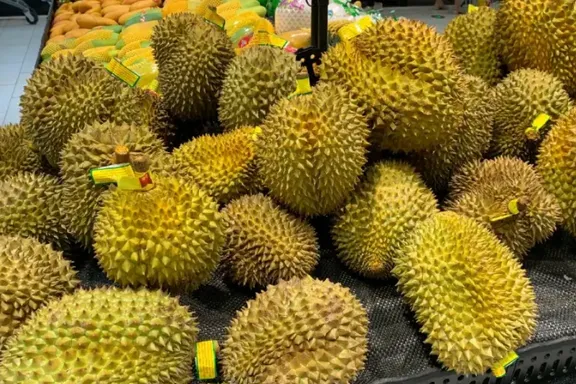 每箱必检引贸易僵局！泰国榴莲对华出口陷停滞：腐烂损失谁来买单？| 跨境焦点