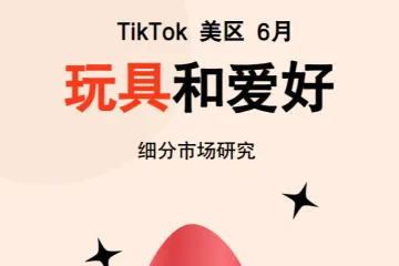 2024年TikTok美区玩具和爱好细分市场趋势研究报告.GlodaStory.2024-06-01