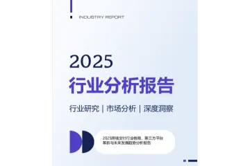 2025跨境支付行业革新未来发展分析报告