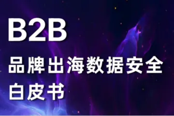 径硕科技2025B2B品牌出海数据安全白皮书