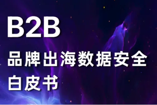 径硕科技2025B2B品牌出海数据安全白皮书