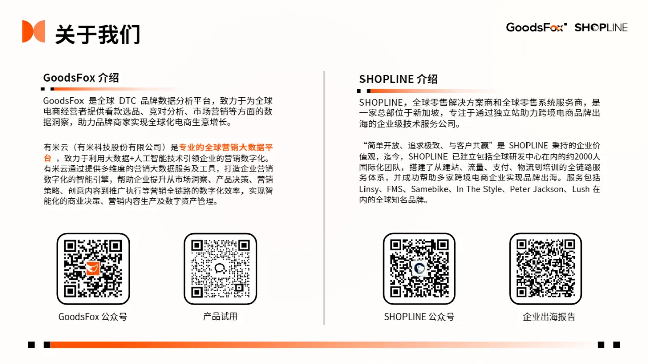 2024年H1独立站品牌出海营销报告_大数跨境